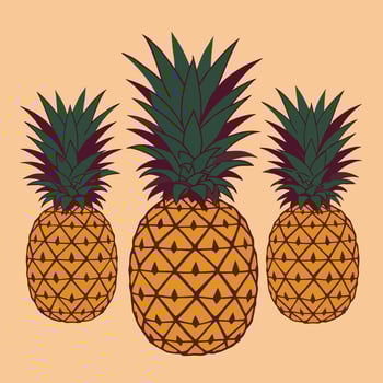 Three Pineapples - Illustration vector