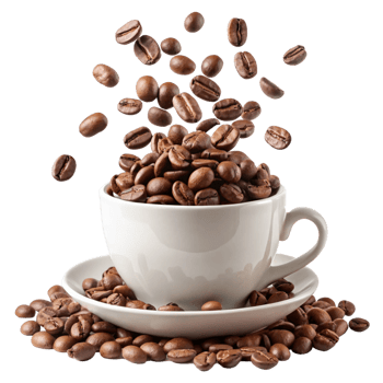 Roasted Coffee Beans in a White Cup and Saucer Surrounded by More Beans png