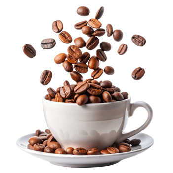 Roasted Coffee Beans Falling into a White Coffee Cup on Saucer png