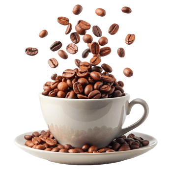 Roasted Coffee Beans Falling into a White Coffee Cup png