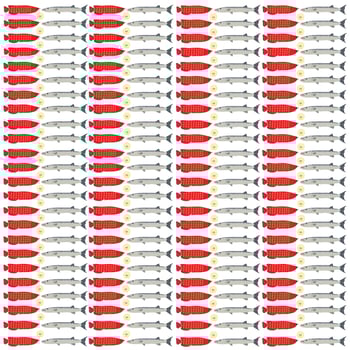 barracuda, arowana fish with fruit as a pattern background vector