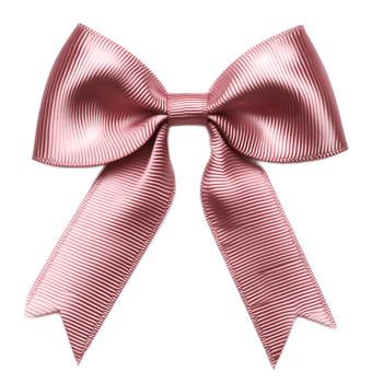 Elegant Pink Ribbon Bow Textured Background for Packaging or png