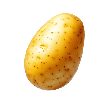 Single Russet Potato on White Background png