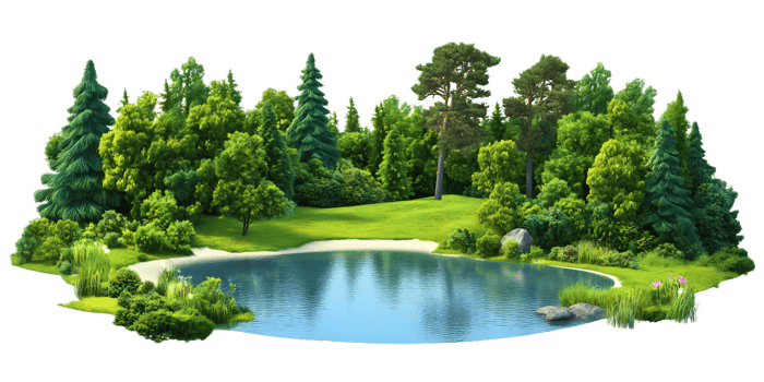 Serene Forest Landscape with Tranquil Lake Surrounded by Lush Greenery and Vegetation png