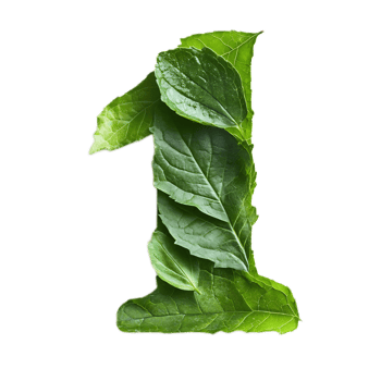 Stylized Green Leaf Forming Number One In Natural Environment png