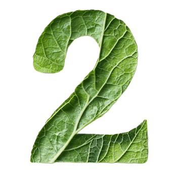 Stylized Leaf Forming the Number Two in a Minimalist Nature-Inspired Design png