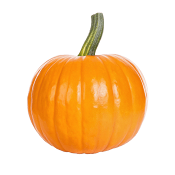 A Single Small Orange Pumpkin on a Black Background png