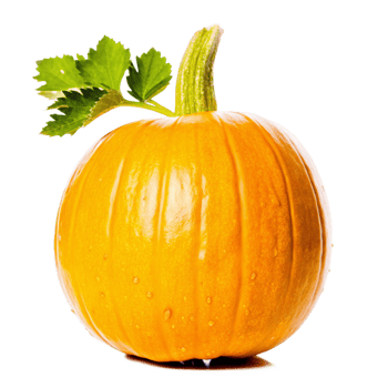 A Single Small Orange Pumpkin with Green Stem and Leaves on a Black Background png