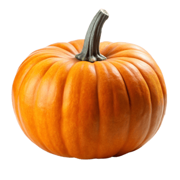 A Vibrant Orange Pumpkin Isolated on a Black Background Perfect for Autumn and Halloween Decorations png