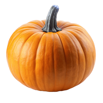 A Perfectly Formed Orange Pumpkin on a Black Background png