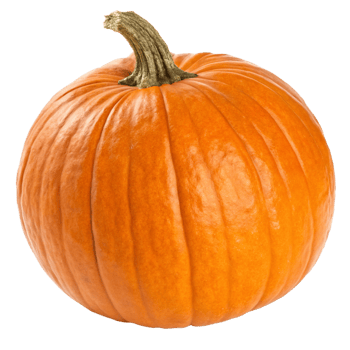 A Vibrant Orange Pumpkin with a Sturdy Stem png