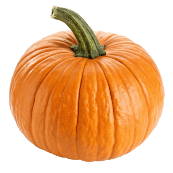 A perfectly ripe orange pumpkin with a green stem, ready for carving or pie png