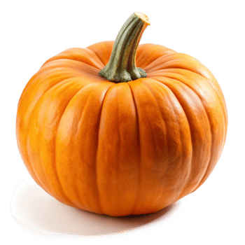 A Single Perfectly Formed Orange Pumpkin on White Background png