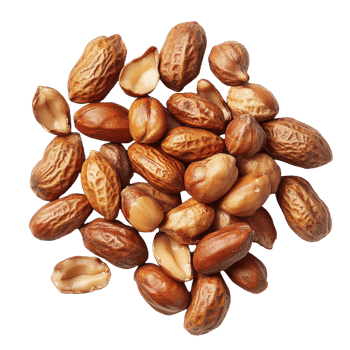 Roasted peanuts arranged on a Transparent background showcasing their texture and color variations, Peanuts. Roasted nuts isolated on background png