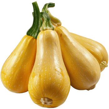 Fresh and Vibrant Yellow Squash Displayed on a White Background for Culinary and Agricultural Uses png