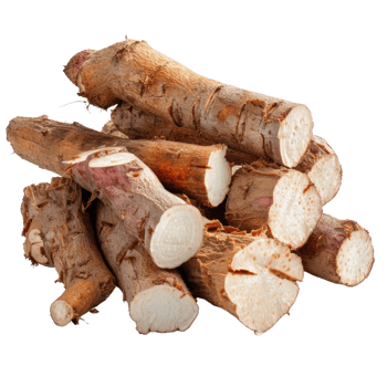 Fresh Cassava Roots Cut into Sections Displayed on White Background for Culinary and Agricultural Use in Various Dishes png