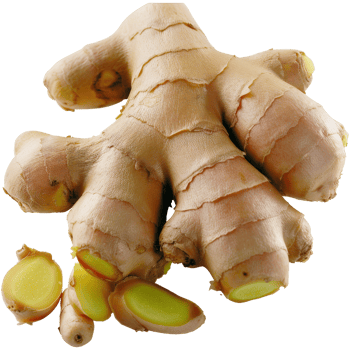Fresh, Organic Ginger Root with Exposed Slices on White Background Ideal for Culinary and Health-Related Content png
