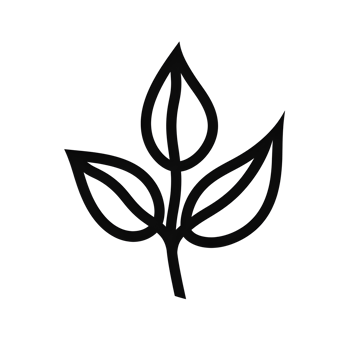 Sprouting Branch Black Outline Icon on Transparent Background png