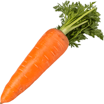 Fresh Organic Carrot for Healthy Eating and Cooking. Perfect for Salads, Soups, and Juices. Ideal for Nutritious Meals and Promoting Wellness in Every Kitchen. png