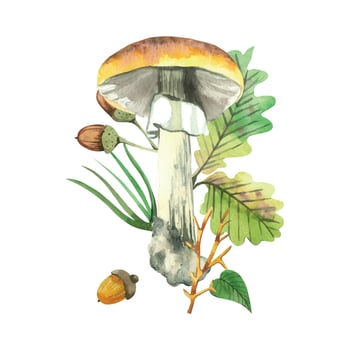 Yellow-capped boletus mushroom, acorns, pine needles, oak leaves, all objects hand-painted with watercolors. Watercolor illustration. Suitable for printing on fabric, postcards, packaging vector