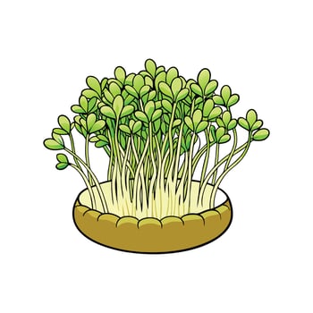 Fresh Alfalfa Sprouts Over White Surface vector