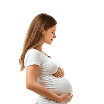 Pregnant woman in side view gently cradling her belly against a Transparent background, Pregnant Woman Side View on background png