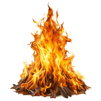 Fiery Bonfire Burning Brightly Against Black Background A Vivid Image of Wood Burning in Flames png