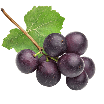 Burmese grape cluster with green leaf isolated on white background, Burmese grapeisolated on white backgroundbackground png