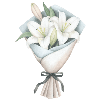 Elegant bouquet of white lilies wrapped in parchment paper Clipart Photo isolated on transparency background png