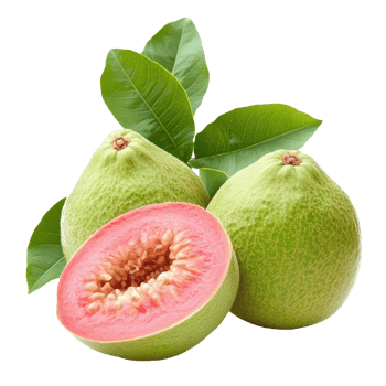 Fresh guava tropical fruit isolated on white background showcasing vibrant color and texture, Guava tropical fruitisolated on white background png