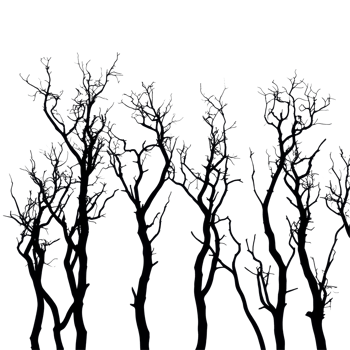 Silhouetted dry trees stand isolated against a stark Transparent background capturing autumn s end, Silhouette many dry trees isolated on background png