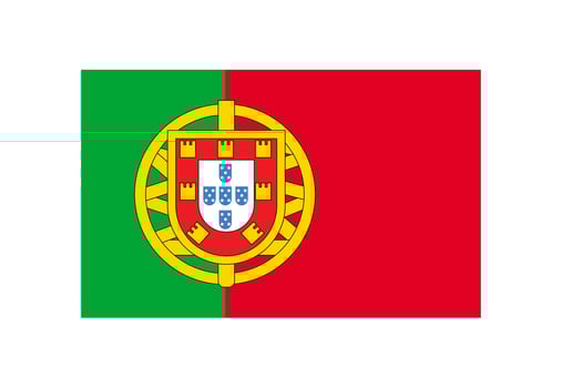 Portugal National Flag vector