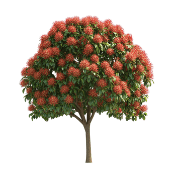 The vibrant tree with many green leaves and red flowers png