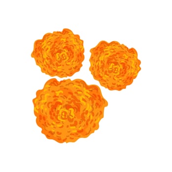 Three orange flowers on a white background vector