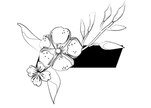 A drawing of a flower with leaves vector