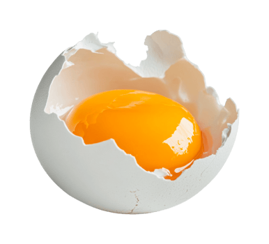 Cracked egg with glossy orange yolk exposed in close detail, cut out png