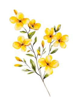 Elegant yellow flowers with green leaves on a dark background, cut out png