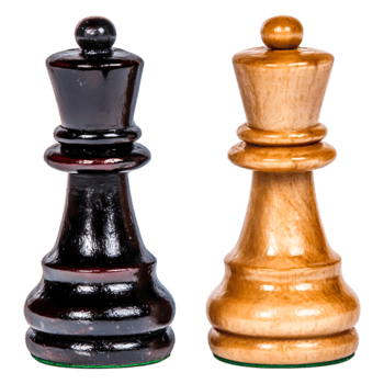 Black and White Chess Pieces Transparent Background for Strategy Concept png