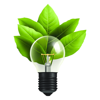 Light Bulb Surrounded by Green Leaves Symbolizing Eco-Friendly Energy Solutions png