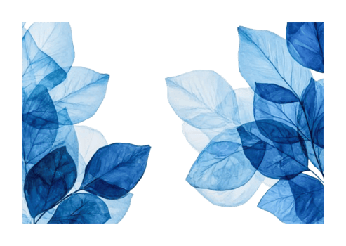 Abstract blue leaves displaying nature's elegance in artistic arrangement, cut out png
