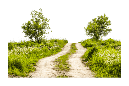 Serene dirt pathway winding through verdant greenery and trees, cut out png