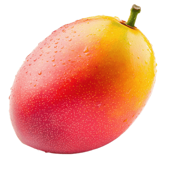 Juicy Mango Tropical Fruit Photography on transparent background. png
