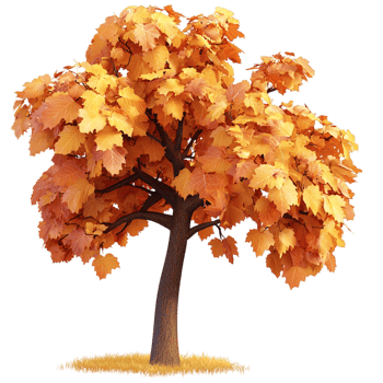 Large autumn tree vibrant orange yellow leaves png