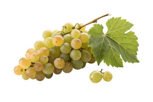 A bunch of grapes with leaves on a transparent background png