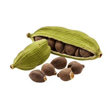 Close up of cardamom pods and seeds with a plain setting showcasing the spice in detail view transparent background png