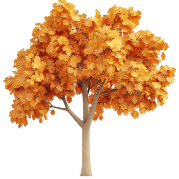 Large Autumn Tree Vibrant Orange Yellow Leaveses png