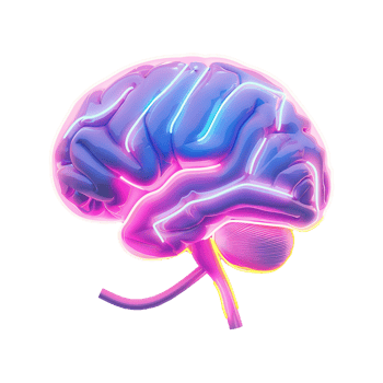 Neon Brain Artistic Rendering of Human Brain Anatomy with Vibrant Pink and Blue Colors png