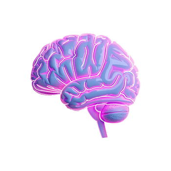 Neon Pink and Blue Human Brain Anatomy Illustration 3D Render png