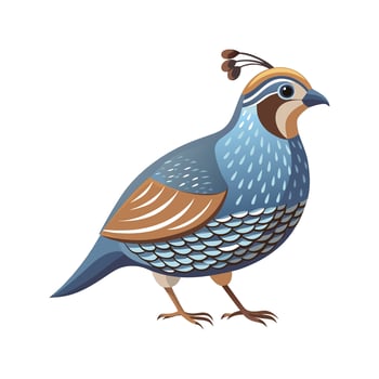 Unique California Quail Bird Graphic vector