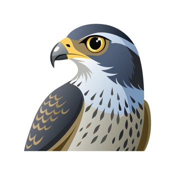 Charming Illustration of Goshawk vector